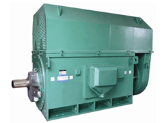 YJTFKK5603-8-630KWY系列6KV高压电机