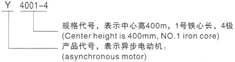 西安泰富西玛Y系列(H355-1000)高压YJTFKK5603-8-630KW三相异步电机型号说明